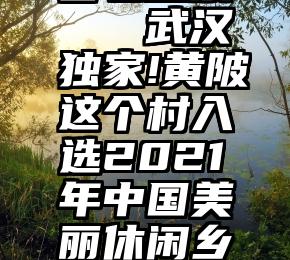 馨石投票   武汉独家!黄陂这个村入选2021年中国美丽休闲乡村