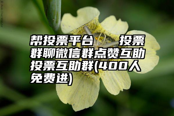 帮投票平台   投票群聊微信群点赞互助投票互助群(400人免费进)