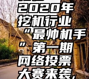 微信投票诱导购买礼物   2020年挖机行业“最帅机手”第一期网络投票大赛来袭,晒“帅”照送“车模”大奖!