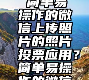 西藏自治区人工微信投票   简单易操作的微信上传照片的照片投票应用？简单易操作的微信上传照片的照片投票应用？