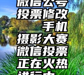 微信公号投票修改   手机摄影大赛微信投票正在火热进行中……