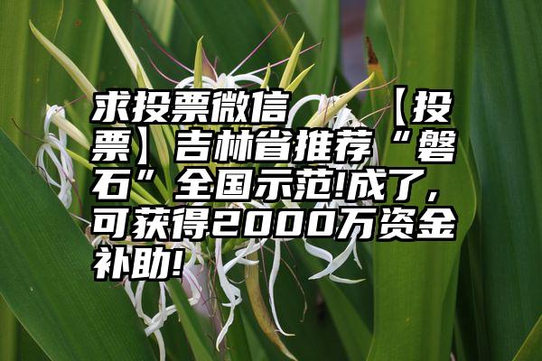 求投票微信   【投票】吉林省推荐“磐石”全国示范!成了,可获得2000万资金补助!