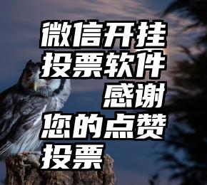 微信开挂投票软件   感谢您的点赞投票