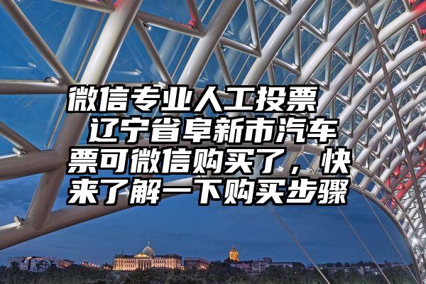 微信专业人工投票   辽宁省阜新市汽车票可微信购买了，快来了解一下购买步骤