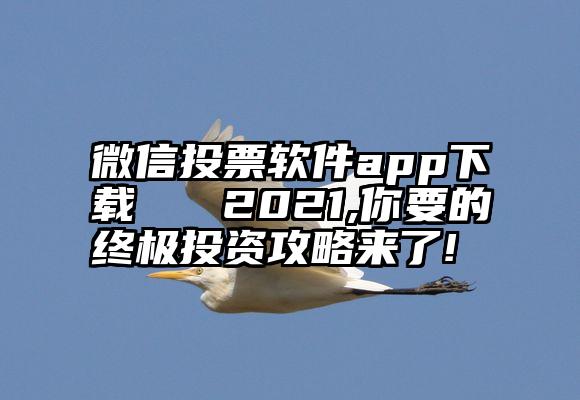 微信投票软件app下载   2021,你要的终极投资攻略来了!