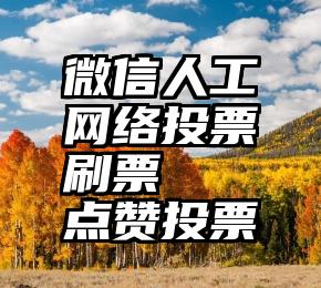 微信人工网络投票刷票   点赞投票