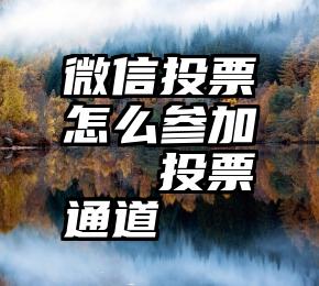 微信投票怎么参加   投票通道