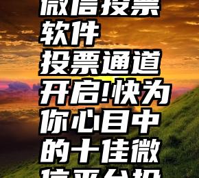 苹果手机微信投票软件   投票通道开启!快为你心目中的十佳微信平台投票!