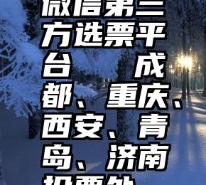 微信第三方选票平台   成都、重庆、西安、青岛、济南投票处