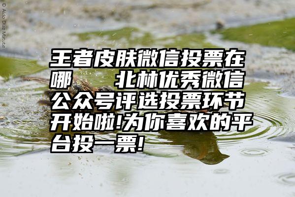 王者皮肤微信投票在哪   北林优秀微信公众号评选投票环节开始啦!为你喜欢的平台投一票!