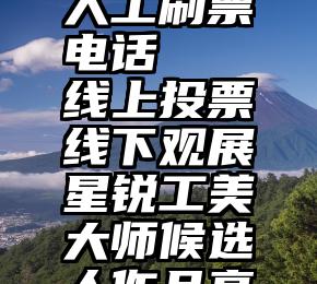 微信投票人工刷票电话   线上投票线下观展星锐工美大师候选人作品亮相