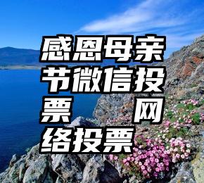 感恩母亲节微信投票   网络投票