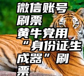 微信账号刷票   黄牛党用“身份证生成器”刷票