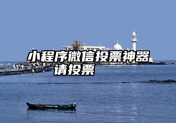 小程序微信投票神器   请投票