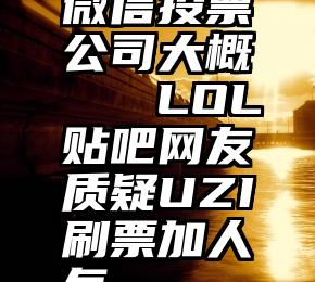 微信投票公司大概   LOL贴吧网友质疑UZI刷票加人气