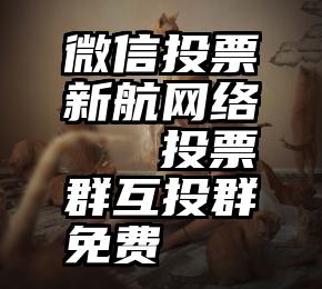 微信投票新航网络   投票群互投群免费