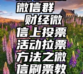 南阳投票微信群   财经微信上投票活动拉票方法之微信刷票教程