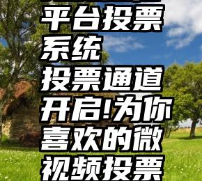 免费微信平台投票系统   投票通道开启!为你喜欢的微视频投票吧!