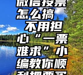 微信投票怎么搞   不用担心“一票难求”小编教你顺利把票买