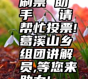 刷票 助手   请帮忙投票!葛溪山乡组团讲解员,等您来助力!