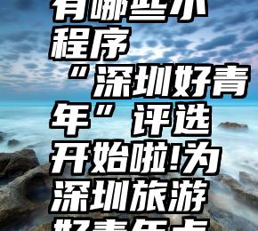 微信投票有哪些小程序   “深圳好青年”评选开始啦!为深圳旅游好青年点赞!