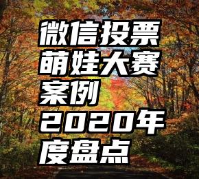 微信投票萌娃大赛案例   2020年度盘点