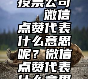 风速微信投票公司   微信点赞代表什么意思呢？微信点赞代表什么意思呢？