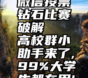 微信投票钻石比赛破解   高校群小助手来了,99%大学生都在用!