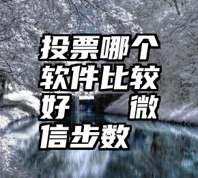 投票哪个软件比较好   微信步数