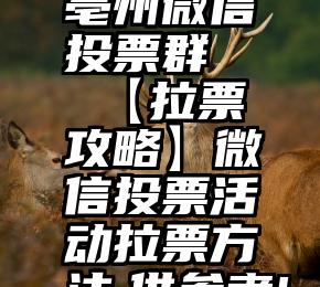 亳州微信投票群   【拉票攻略】微信投票活动拉票方法,供参考!