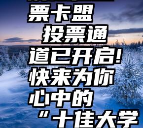 刷微信投票卡盟   投票通道已开启!快来为你心中的“十佳大学生”助力