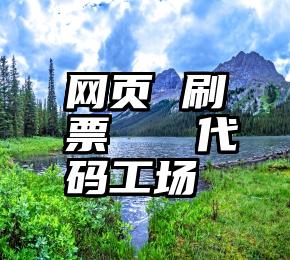 网页 刷票   代码工场