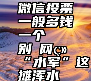 微信投票一般多钱一个   别蹚网络“水军”这摊浑水