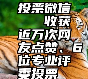 种植牙“溪谷式”涨价何时能来？本报记者进行调查种植牙价格低廉等难题