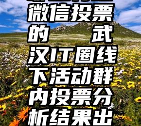 哪里有给微信投票的   武汉IT圈线下活动群内投票分析结果出炉