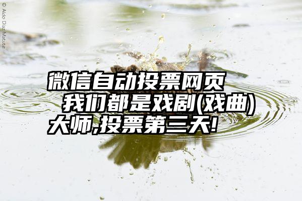 微信自动投票网页   我们都是戏剧(戏曲)大师,投票第三天!