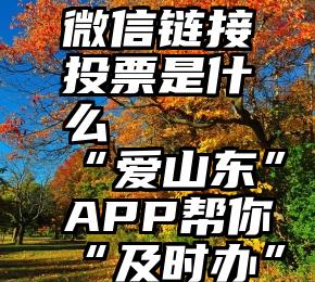 微信链接投票是什么   “爱山东”APP帮你“及时办”