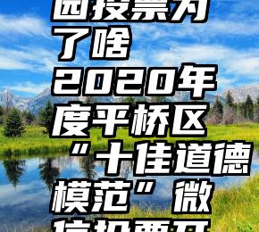 微信幼儿园投票为了啥   2020年度平桥区“十佳道德模范”微信投票开始啦!(二)