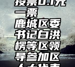 微信人工投票0.1元一票   鹿城区委书记白洪楞等区领导参加区人大代表选举投票