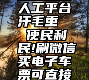 微信投票人工平台 汗毛重   便民利民!刷微信买电子车票可直接检票乘车