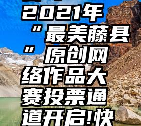 永林 微信刷票投票公司   2021年“最美藤县”原创网络作品大赛投票通道开启!快来为你喜欢的作品投票吧!