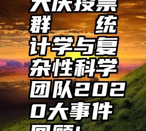 大庆投票群   统计学与复杂性科学团队2020大事件回顾!