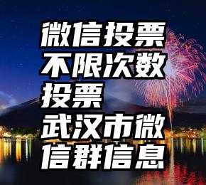 微信投票不限次数投票   武汉市微信群信息