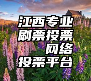 江西专业刷票投票   网络投票平台