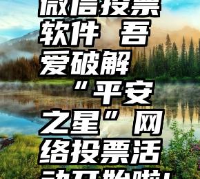 微信投票软件 吾爱破解   “平安之星”网络投票活动开始啦!