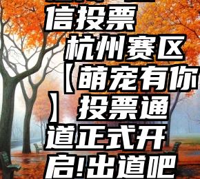 福州 微信投票   杭州赛区【萌宠有你】投票通道正式开启!出道吧主子们~