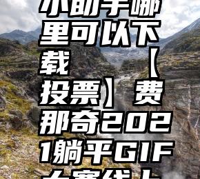 微信拉票小助手哪里可以下载   【投票】费那奇2021躺平GIF大赛线上投票