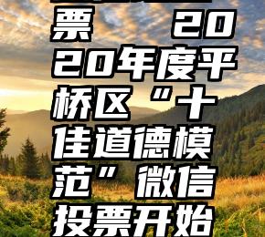 微信墙投票   2020年度平桥区“十佳道德模范”微信投票开始啦!(一)