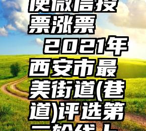 怎样才能使微信投票涨票   2021年西安市最美街道(巷道)评选第二轮线上投票开始!