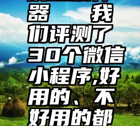 在线微信刷投票神器   我们评测了30个微信小程序,好用的、不好用的都给你列出来了